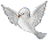 dovefloat3.gif (1593 bytes)